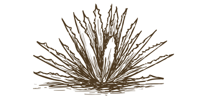 MEZCAL