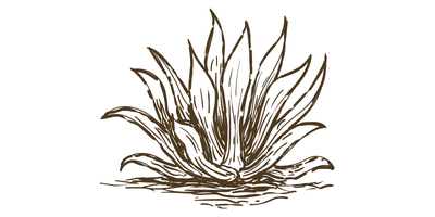 RAICILLA